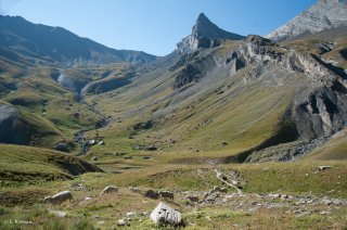 Alpage du Champsaur. Hautes-Alpes